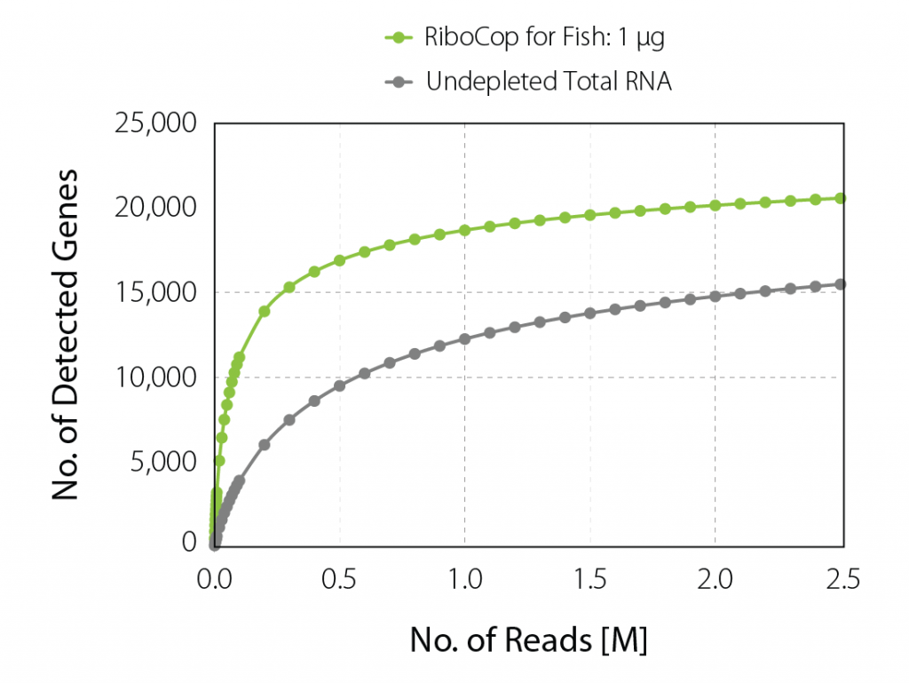 Gene discovery plot illustrating increased gene detection upon removal of rRNA. Untreated and rRNA depleted zebrafish (Danio rerio) samples were compared and genes detected per number of unique sequencing reads were plotted: gene detection is increase by > 30 % upon rRNA depletion with RiboCop for Fish at 2.5 M reads per sample.