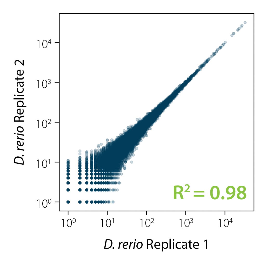 Correlation plot illustrating high reproducibility and robustness between individual depletion reactions for replicate samples from zebrafish (Danio rerio) depleted with RiboCop rRNA depletion for Fish.