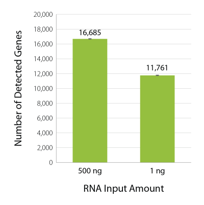 Bar chart illustrating gene detection rates for QuantSeq 3' mRNA-Seq libraries from 500 ng and 1 ng human RNA input, 16,685 or 11,761 genes were detected respectively.