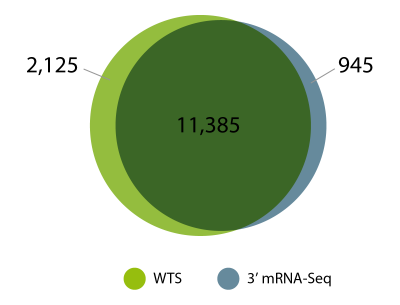 Human kidney tumor samples, gene overlap between FFPE tissues prepared with two different RNA-Seq library preparation protocols - whole transcriptome and 3' mRNA-Seq.