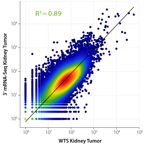Figure-4_QS FFPE vs Corall FFPE Correlation for hs kidney tumor